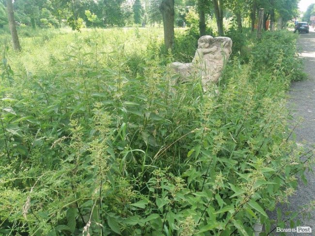 Алея з реставрованими скульптурами Миколи Голованя заросла кропивою