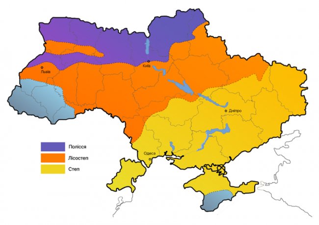 В Україні щезає Полісся: які зміни відбуваються і чим це загрожує