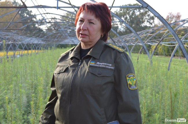 Поляків вражає робота волинських селекційних розсадників