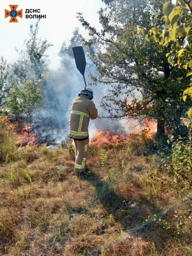 На Волині за підпал сухої трави оштрафували двох людей