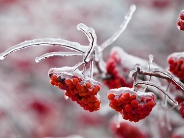 Погода в Луцьку та Волинській області на вихідні, 5 і 6 грудня