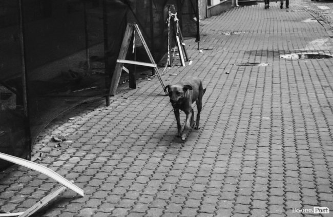 Похмура осінь у Луцьку. ФОТО