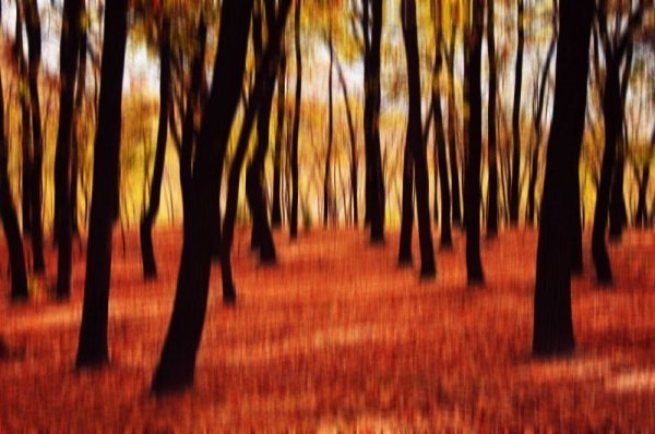 Фотовиставка Ольги Антонюк