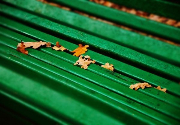 Фотовиставка Ольги Антонюк