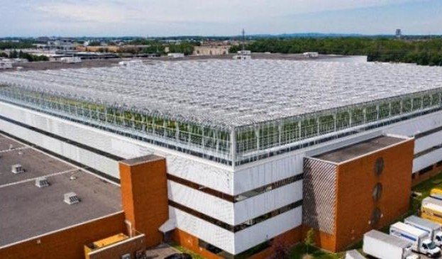 В Канаді збудували найбільшу в світі теплицю на даху