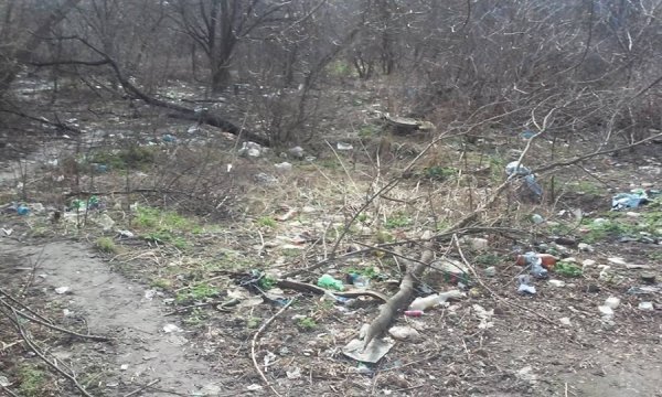 Лучани перетворюють місто на смітник. ФОТО