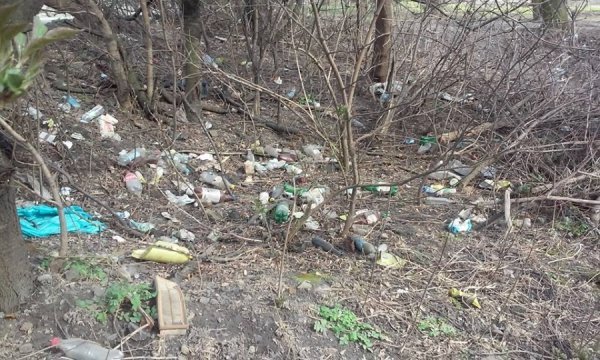 Лучани перетворюють місто на смітник. ФОТО