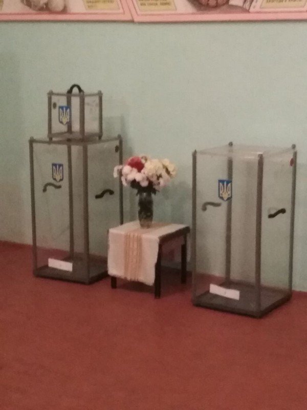 Не вистачає скриньок і кабінок: як на Волині стартували вибори