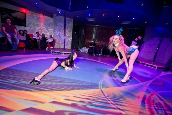 Дівчата-кролики мають гарну розтяжку