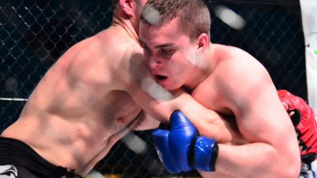 Міжнародний турнір з ММА у Луцьку: повідомили, хто переміг у запеклих боях