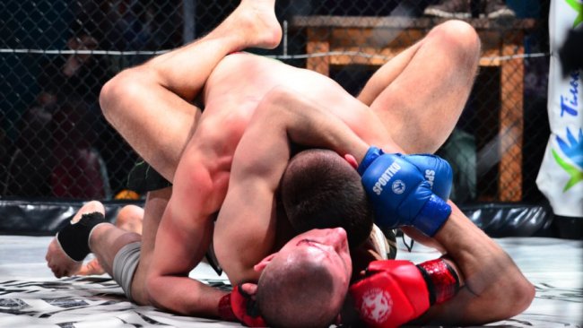 Міжнародний турнір з ММА у Луцьку: повідомили, хто переміг у запеклих боях