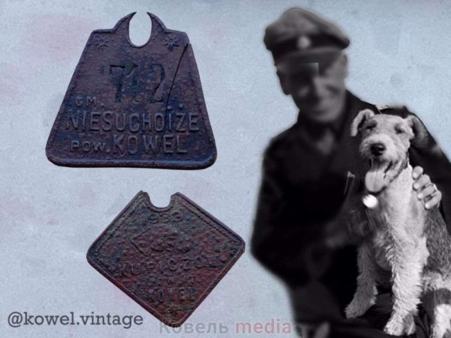 Показали, якими на Волині були собачі жетони у 30-х роках минулого століття. ФОТО 