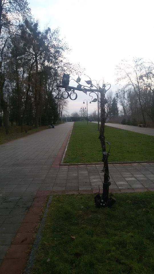 На зоопарк міста вказуватимуть птахи. ФОТО