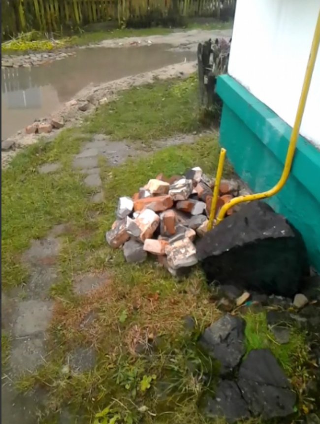 Волинянка звинувачує свою сусідку в загибелі собаки