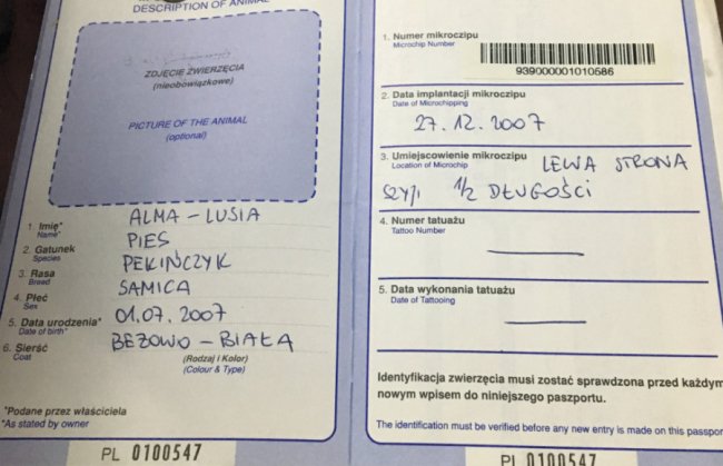 Волинянка звинувачує свою сусідку в загибелі собаки
