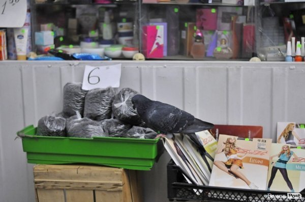 Завокзальний ринок. БУДНІ МІСТА