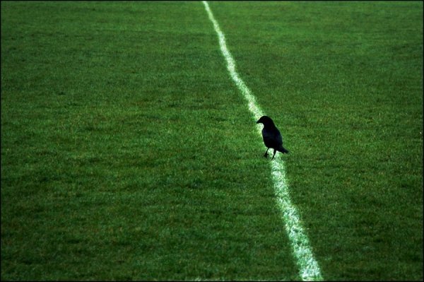 Кумедні стріт-фото Нільса Йоргенсена