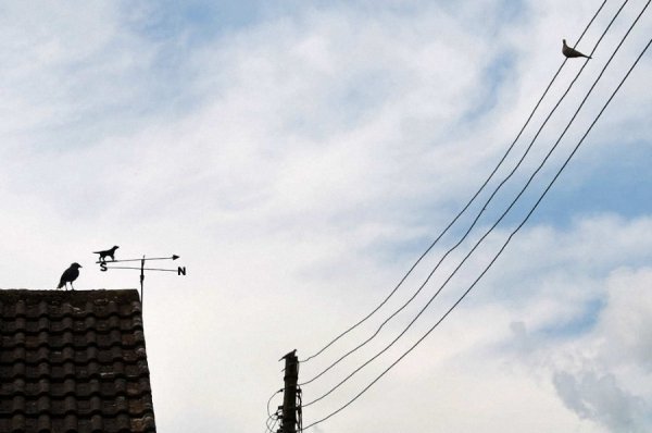 Кумедні стріт-фото Нільса Йоргенсена