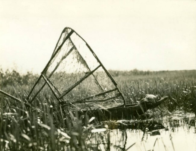 Американська мандрівниця зазнімкувала Волинське Полісся 85 років тому. ФОТО