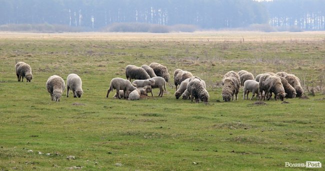 Мальовничі села в об'єктиві волинського фотографа. ФОТО