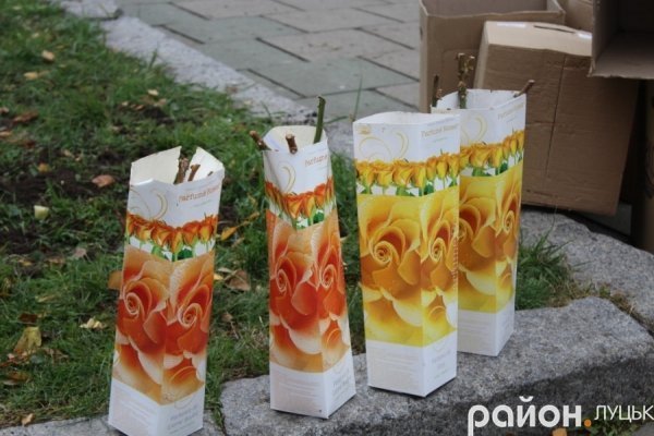 У Луцьку «вдихнули життя» в «Алею троянд»