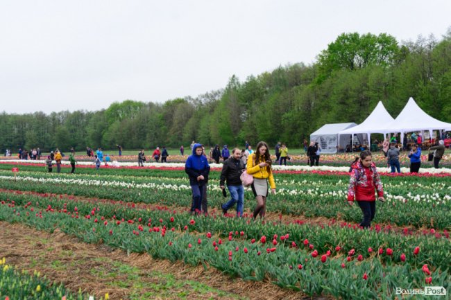Попри негоду «Волинська Голландія» гостинно зустрічає гостей. ФОТО