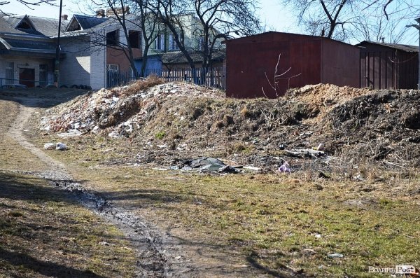 У луцькому парку зноситимуть дерева