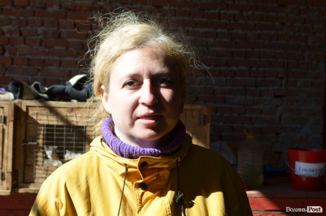 Дім для Річарда: у луцькій «Ласці» живе пес-старожил