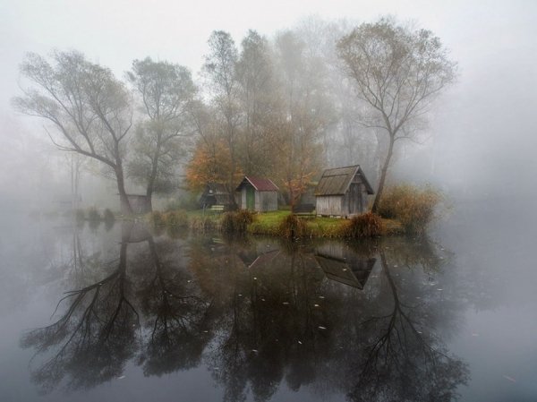 © Gabor Dvornik