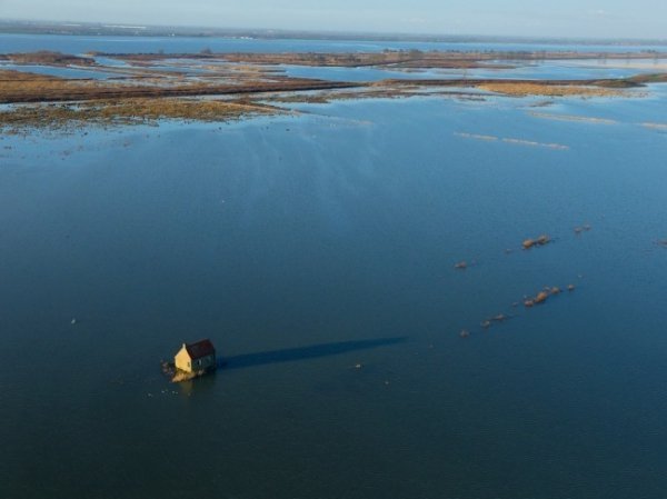 Острів Тінгеметен, Нідерланди