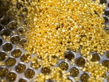 Україна виставила на торги земельну ділянку з покладами руд золота