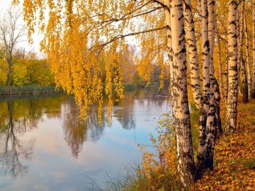 Погода в Луцьку та Волинській області на середу, 7 жовтня
