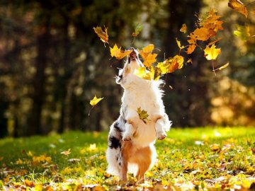 Якою буде погода у Луцьку у неділю, 22 вересня