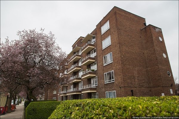 Прогулянка весняним Лондоном. ФОТО