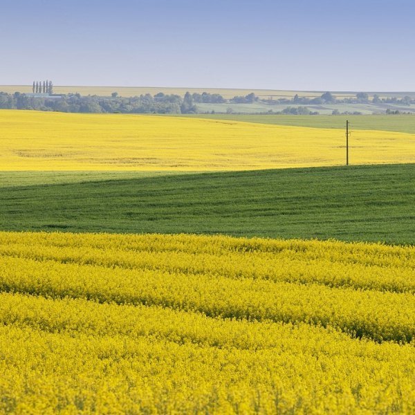 Фотовиставка Юрія Наумовича