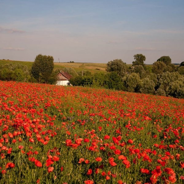 Фотовиставка Юрія Наумовича