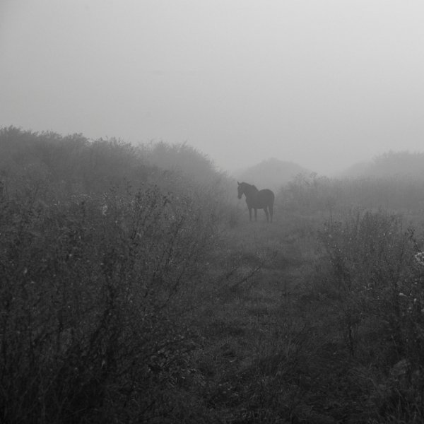 Фотовиставка Юрія Наумовича