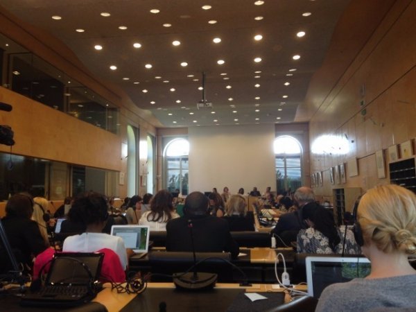 Лучанка побувала на сесії ООН. ФОТО