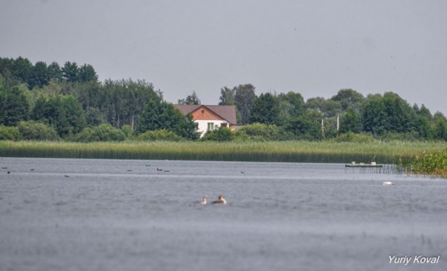 Показали красу волинського озера Пісочне. ФОТО 