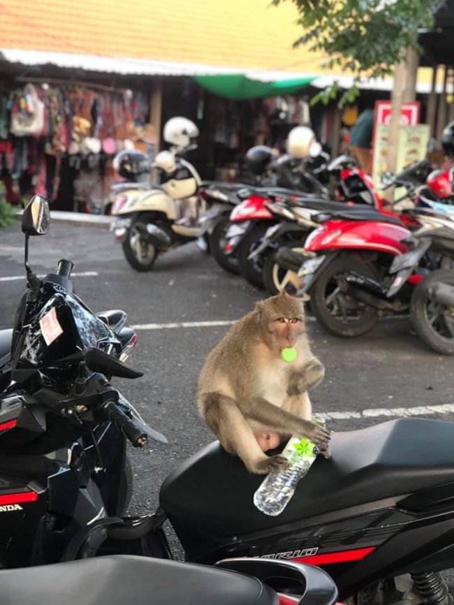 Лучанка поділилася непопсовими місцинами острова Балі. ФОТО
