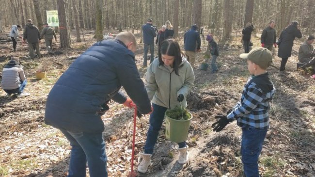 На Волині переселенці долучилися до акції з відновлення лісу: висадили 5 гектарів