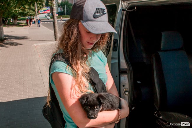 Там, де розвертаються тролейбуси: як живе 40-ий мікрорайон Луцька