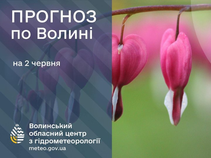 Якою буде погода у Луцьку та на Волині у вівторок, 2 червня