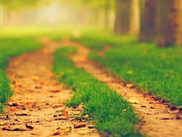 Потепліє: розповіли про погоду на вихідні