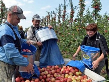 Стало відомо, чому українські заробітчани відмовляються їхати до Польщі