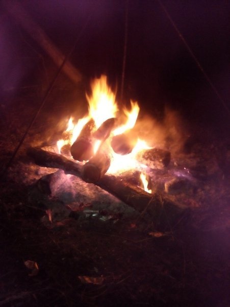 Як «Правий сектор» Волині допомагає охороняти кордон. ФОТО