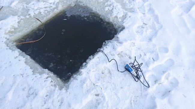 У Центральному парку Луцька прорубали 50 ополонок