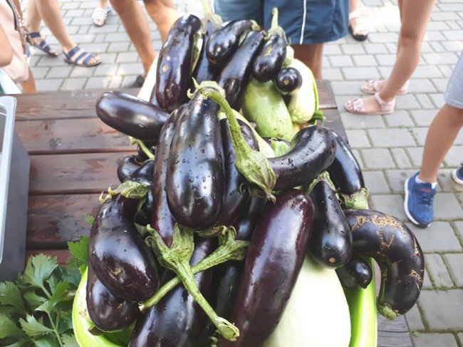 У Луцькому зоопарку зібрали урожай овочів, які садили діти. ФОТО