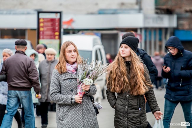 За день до свята: Луцьк накрила тюльпанова лихоманка. ФОТО