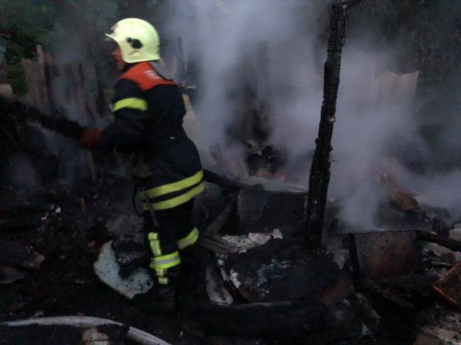 У селі на Волині горіла пасіка. ФОТО